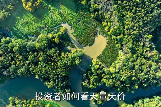 天量天價(jià)什么意思，天量之后見天價(jià)為什么