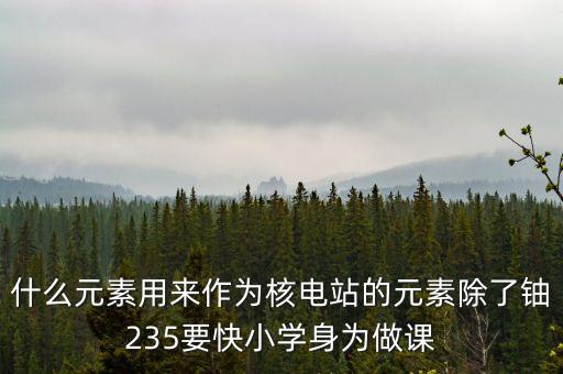 什么元素用來(lái)作為核電站的元素除了鈾235要快小學(xué)身為做課