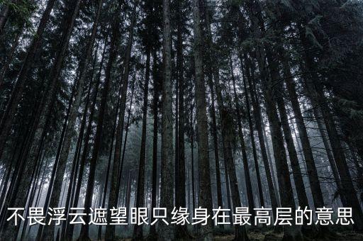 不畏浮云遮望眼什么意思，不畏浮云遮望眼 只緣身在最高層是什么意思