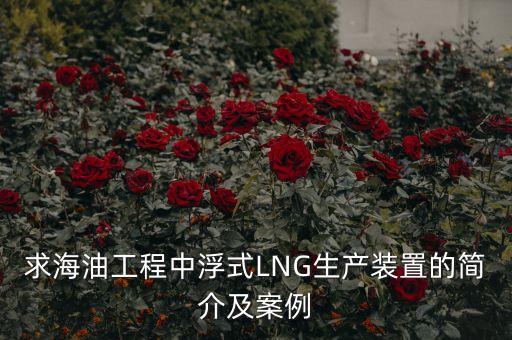 什么是浮式lng項目，什么是浮式LNG