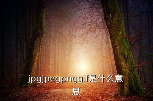 什么是代價比率，JPG文件會有病毒嗎