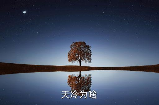 暴雪冷空氣利好什么股票小說(shuō)，下雪了天咋這么冷