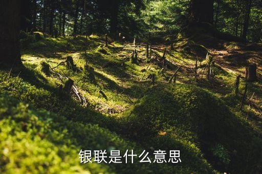 銀聯(lián)會(huì)是什么，銀聯(lián)是什么意思