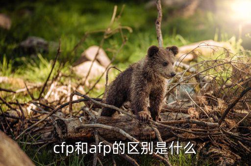 cfp是什么意思，AFPCFP是什么意思