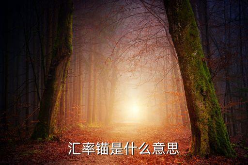 什么是利率錨，利率錨是什么意思 在線等