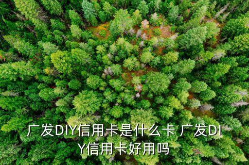 什么是diy信用卡，廣發(fā)DIY信用卡是什么卡 廣發(fā)DIY信用卡好用嗎