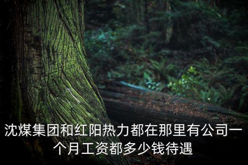 沈煤集團(tuán)和紅陽熱力都在那里有公司一個月工資都多少錢待遇