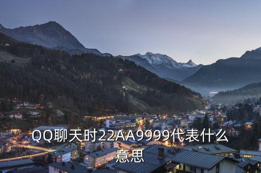 2AU9999代表什么，9999代表什么字
