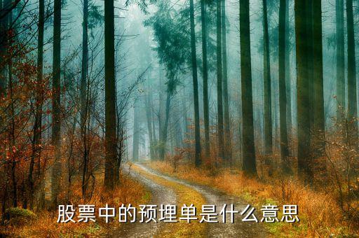 股票埋單是什么意思，股票上埋單是什么意思