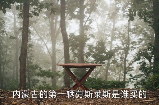 赤峰趙美光開(kāi)的什么車(chē)，赤峰市什么車(chē)系或是什么牌子的車(chē)比較多呀
