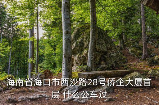 海南公務車什么號段，誰知道海南41 11月20日開的什么號碼