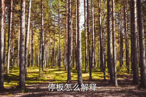 股票停板是什么意思，股票封板什么意思