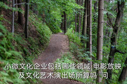 小微文化企業(yè)具體指什么，小微文化企業(yè)包括哪些領(lǐng)域 電影放映及文化藝術(shù)演出場所算嗎  問