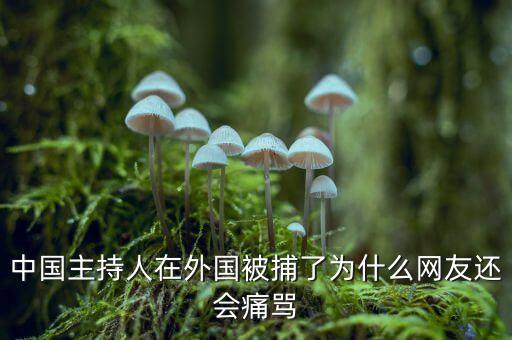 國網(wǎng)魏慶海出什么事了，中國主持人在外國被捕了為什么網(wǎng)友還會(huì)痛罵