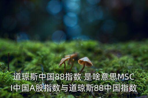 88開(kāi)頭的股票是什么股，88打頭的股票代碼是那個(gè)交易所
