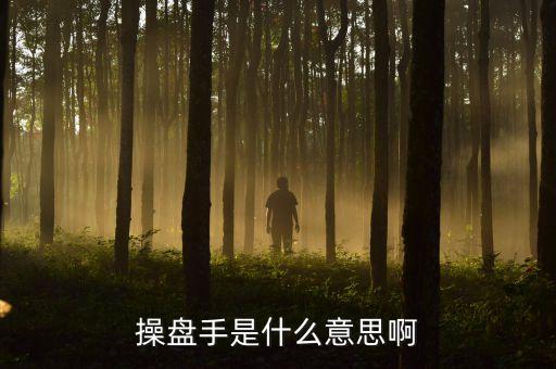 股票里操盤手聯(lián)盟是什么意思，有哪位高人可以給我詳細(xì)解釋下操盤手是什么意思