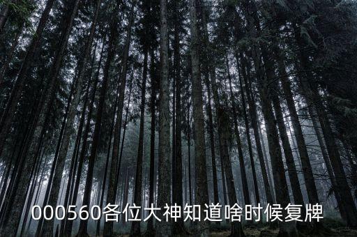 棟梁新材什么時(shí)候復(fù)牌，000560各位大神知道啥時(shí)候復(fù)牌