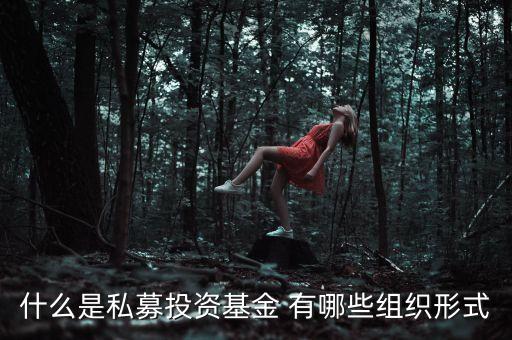 什么是募投資金，什么是私募投資基金 有哪些組織形式