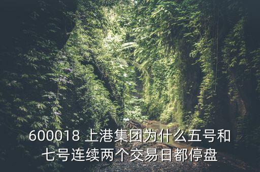 600018 上港集團(tuán)為什么五號和七號連續(xù)兩個(gè)交易日都停盤