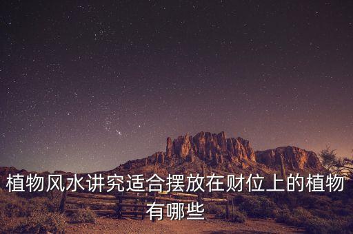 16年擺什么花利于財，客廳擺放什么花最吉利