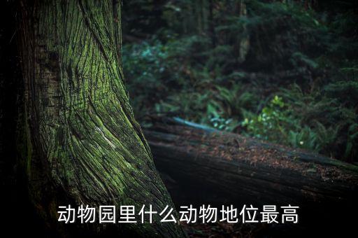 動物園什么動物人氣最高，動物園什么動物地位最高