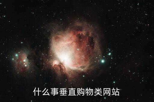 什么是垂直商城，o2o垂直商城是什么