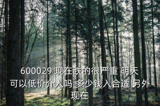 粵傳媒今天什么跌這么厲害，600029 現(xiàn)在跌的很?chē)?yán)重 明天可以低價(jià)介入嗎 多少錢(qián)入合適 另外現(xiàn)在