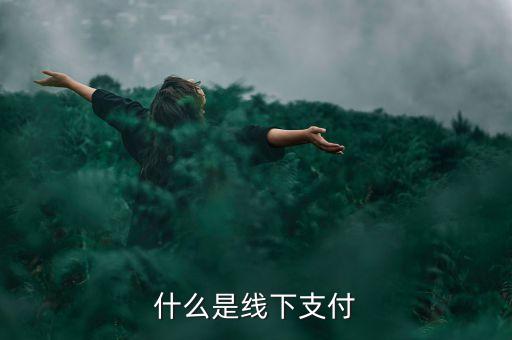 什么是線上線下支付，什么是線下支付