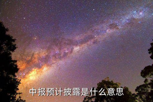 預先披露是什么意思，中報預計披露是什么意思