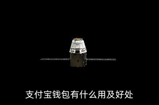 支付寶錢包都能干什么，支付寶錢包是做什么的