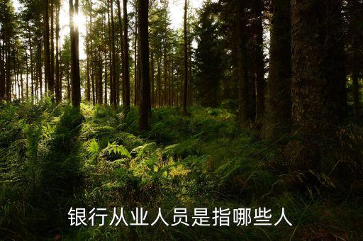 銀行從業(yè)人員是什么，我在銀行從業(yè)資格證里面看到一個(gè)銀行從業(yè)人員和銀行非從業(yè)人員