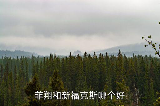 菲翔和新福克斯哪個(gè)好