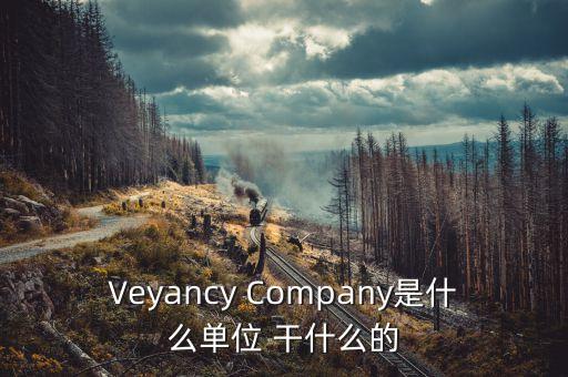 時代沃頓科技有限公司是什么單位，Veyancy Company是什么單位 干什么的