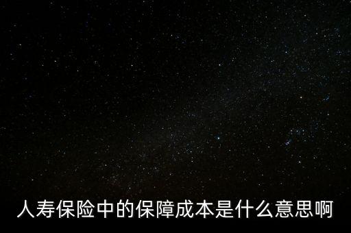 什么是保險公司的保證成本，保險中的保障成本是什么意思