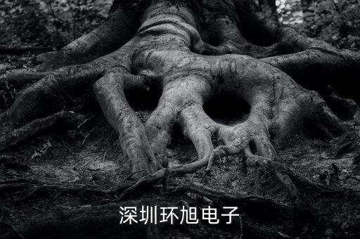環(huán)旭電子經(jīng)營什么，上海環(huán)旭電子有限公司在什么地方