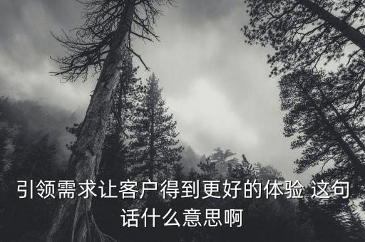 什么是引領(lǐng)需求，引領(lǐng)需求讓客戶得到更好的體驗(yàn) 這句話什么意思啊