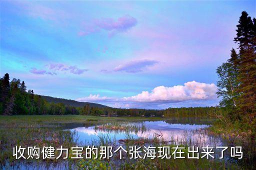 健力寶什么時候賣給張海，收購健力寶的那個張海現(xiàn)在出來了嗎