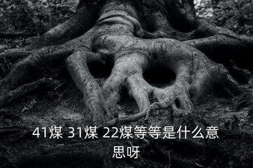 什么叫三二煤，2煤3煤什么意思