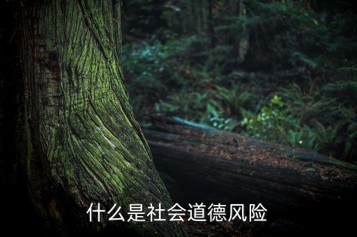 什么是社會(huì)風(fēng)險(xiǎn)，什么是社會(huì)道德風(fēng)險(xiǎn)