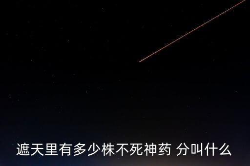 神藥代表什么，圣經(jīng)黃金沫藥什么含義