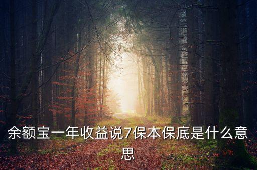 保底收益什么意思，保底收益猶豫期后可根據(jù)本金及保底收益作為還款來源 請問這