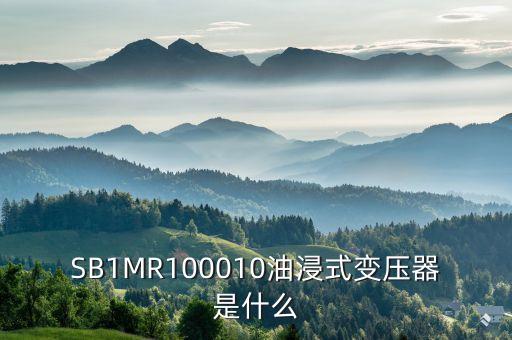 油浸式變壓器什么是酚推，SB1MR100010油浸式變壓器是什么