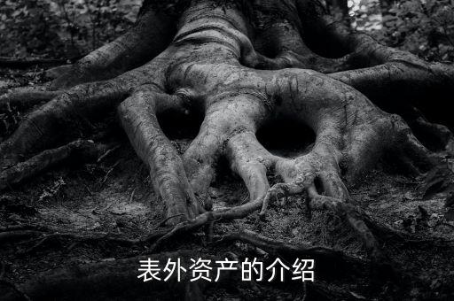 什么是表外資金，表外資產的介紹