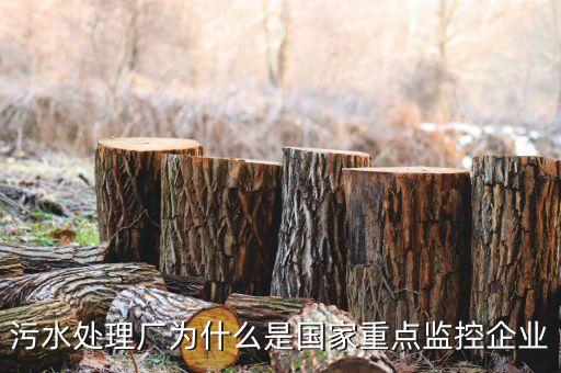 重點監(jiān)控企業(yè)為什么，稅務局來電要我們公處理重點監(jiān)控是什么意思