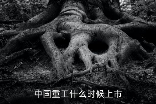 中國重工什么時(shí)候增發(fā)，中國重工上市時(shí)間