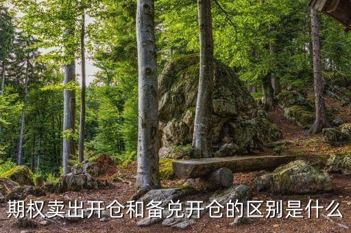期權(quán)賣出開(kāi)倉(cāng)和備兌開(kāi)倉(cāng)的區(qū)別是什么