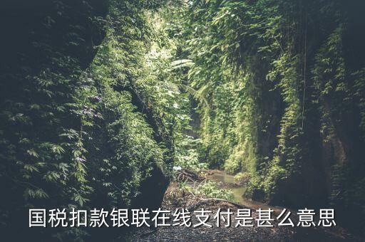 銀聯(lián)劃扣跟連連支付有什么區(qū)別，國稅扣款銀聯(lián)在線支付是甚么意思
