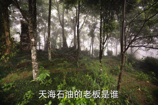天海收購英邁什么時間，信用卡能不能申請延遲2天?？?/></a></span><span id=