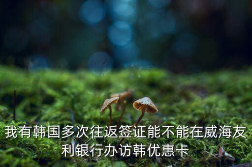 訪韓優(yōu)惠卡有什么作用，我有韓國多次往返簽證能不能在威海友利銀行辦訪韓優(yōu)惠卡