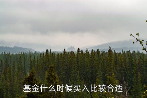 基金在什么時候買入，買入基金的最佳時機(jī)
